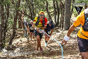 Trail des cèdres 2024